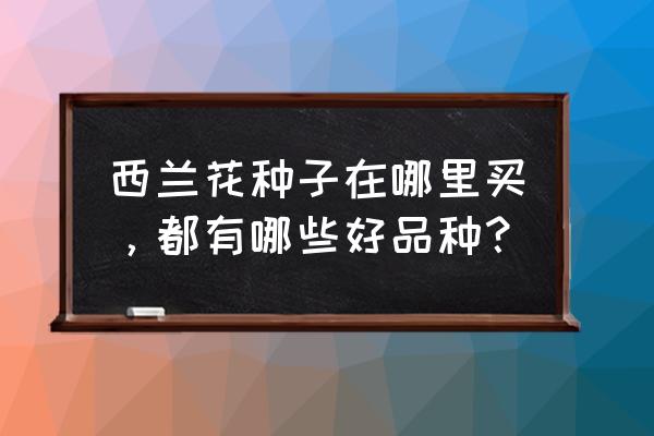 淘宝靠谱菜种子店 西兰花种子在哪里买，都有哪些好品种？