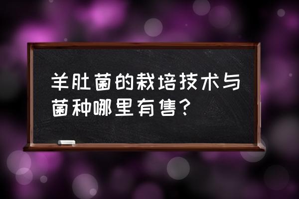 羊肚菌冷棚冬季出菇怎么保温 羊肚菌的栽培技术与菌种哪里有售？