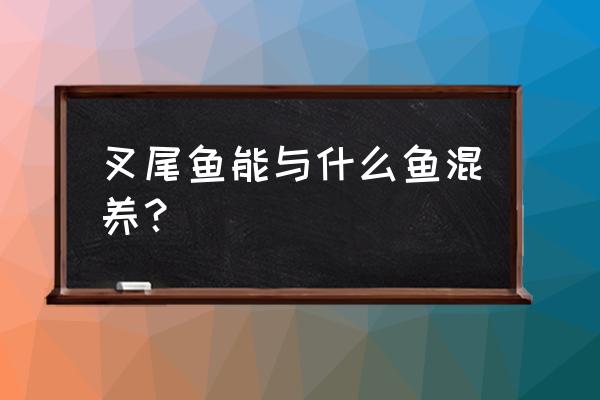 网箱斑点叉尾鮰养殖技术 叉尾鱼能与什么鱼混养？