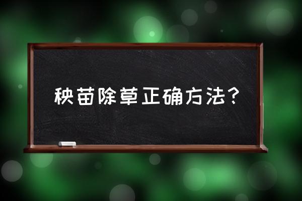 怎么拔草最好的方法 秧苗除草正确方法？