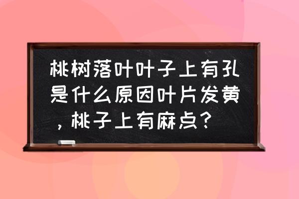 桃树穿孔病最佳防治方法 桃树落叶叶子上有孔是什么原因叶片发黄，桃子上有麻点？