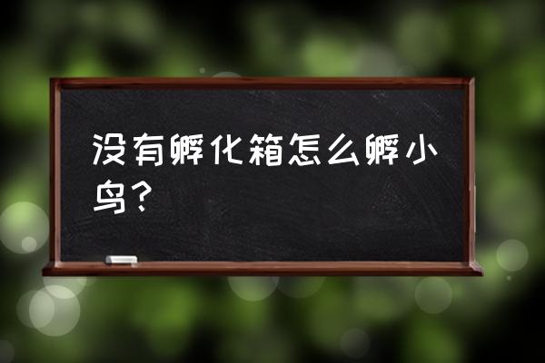 超简单的自制孵化箱 没有孵化箱怎么孵小鸟？