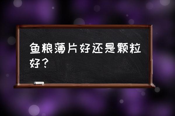 贴片鱼粮的正确喂法 鱼粮薄片好还是颗粒好？