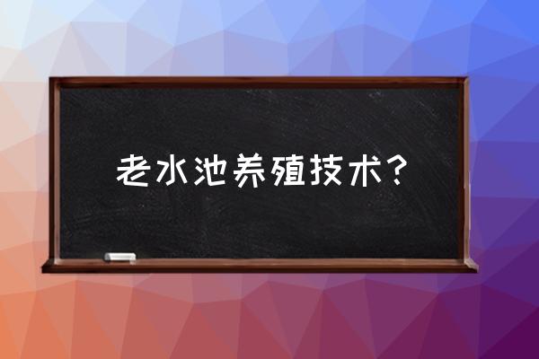 池塘如何高效养殖 老水池养殖技术？