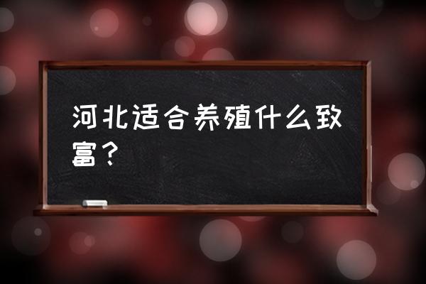 稻田养鸡需要什么条件 河北适合养殖什么致富？