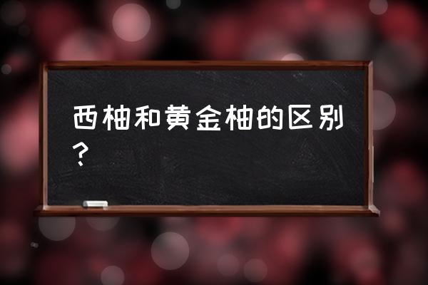 葡萄柚哪个品种最好吃 西柚和黄金柚的区别？