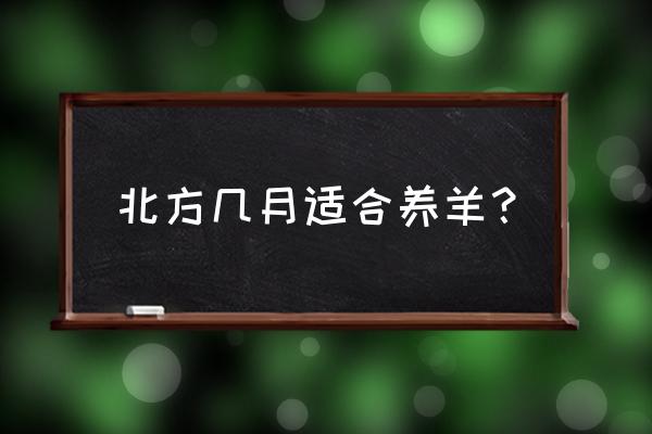 羊病预防的最佳时间 北方几月适合养羊？