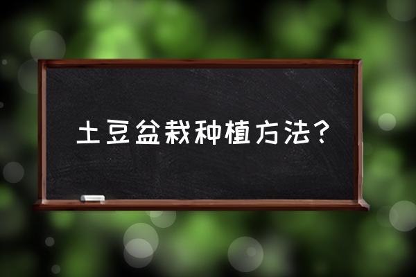 土豆发芽了要怎么一招变成盆栽 土豆盆栽种植方法？