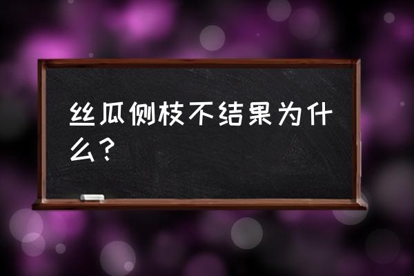 丝瓜长藤不结瓜有补救办法吗 丝瓜侧枝不结果为什么？