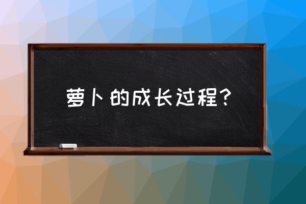 萝卜种子播种到发芽每天变化 萝卜的成长过程？