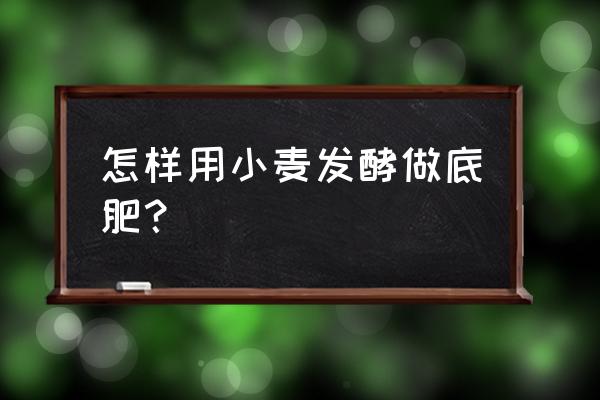 杂草可以发酵做肥料吗 怎样用小麦发酵做底肥？