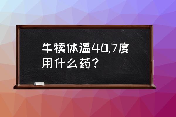 牛舍夏天用什么降温最实用 牛犊体温40,7度用什么药？