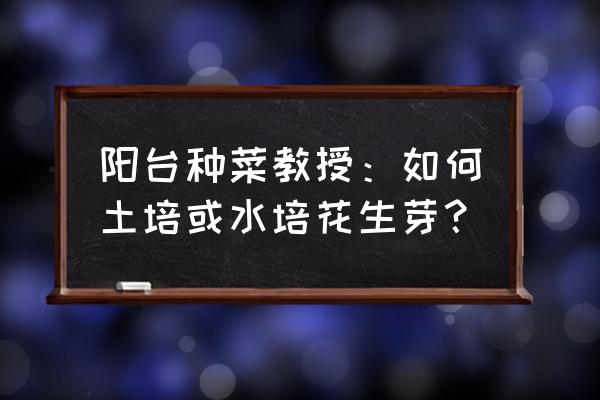 阳台水培蔬菜制作方法 阳台种菜教授：如何土培或水培花生芽？