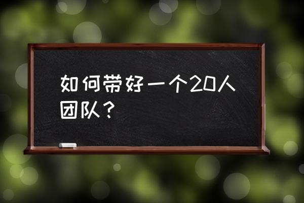 团队管理经验总结 如何带好一个20人团队？