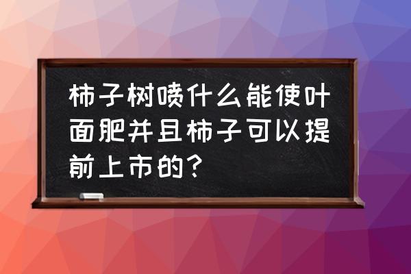 柿子照片后期教程 柿子树喷什么能使叶面肥并且柿子可以提前上市的？