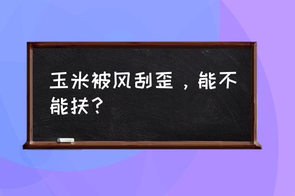 玉米叶子发黄了倒伏怎么办 玉米被风刮歪，能不能扶？