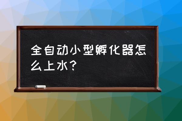 小鸡掉到水管下水道怎么办 全自动小型孵化器怎么上水？