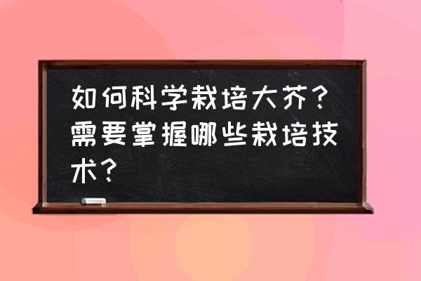 最省空间的种植方法 如何科学栽培大芥？需要掌握哪些栽培技术？