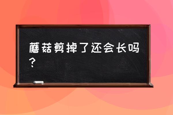 平菇采摘后怎样让它二次出菇 蘑菇剪掉了还会长吗？