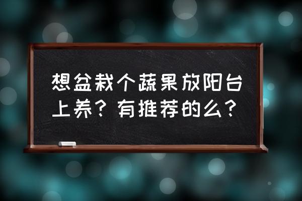 无需授粉的水果盆栽 想盆栽个蔬果放阳台上养？有推荐的么？