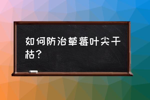 草莓苗期用补钙吗 如何防治草莓叶尖干枯？