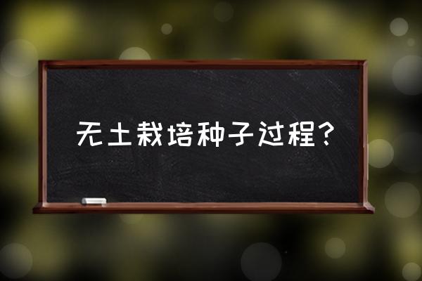 人工种植甜菜的方法 无土栽培种子过程？