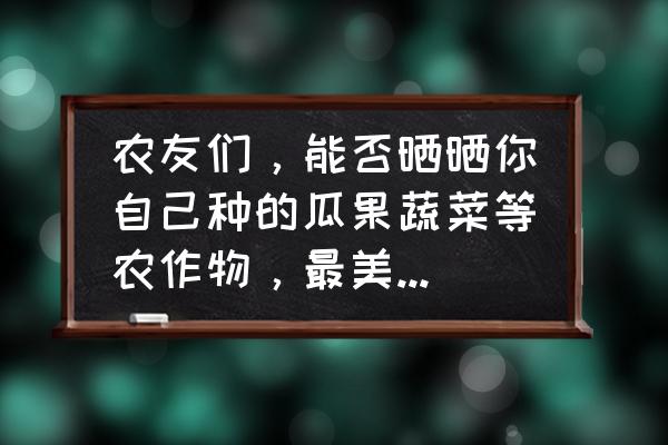 阳台豇豆角的种植过程图片大全集 农友们，能否晒晒你自己种的瓜果蔬菜等农作物，最美照片与大家分享怎么样？