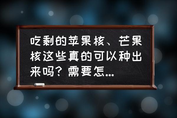 学做苹果烧果子 吃剩的苹果核、芒果核这些真的可以种出来吗？需要怎么做才能种出来？