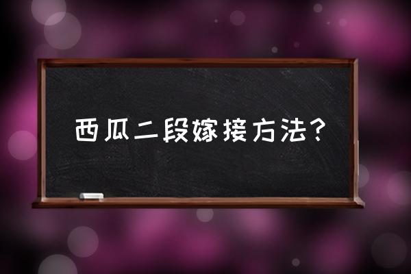 嫁接西瓜苗技术教程 西瓜二段嫁接方法？