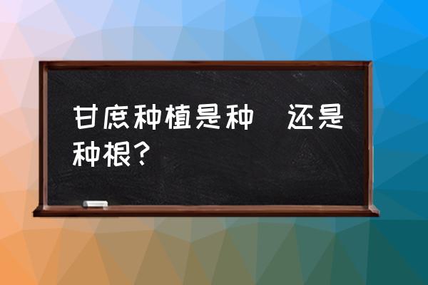 甘蔗是根部能种还是头部能种 甘庶种植是种秄还是种根？