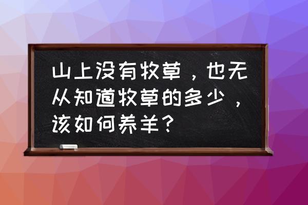 地理放牧的最佳方式 山上没有牧草，也无从知道牧草的多少，该如何养羊？