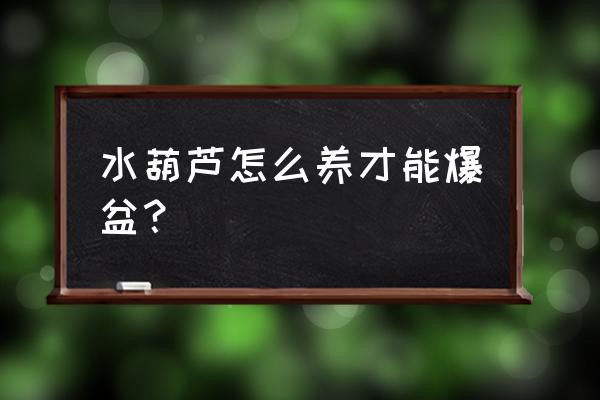 怎么让水葫芦快速繁殖 水葫芦怎么养才能爆盆？