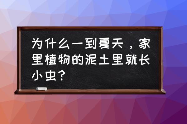 如何去除土壤中的西瓜虫 为什么一到夏天，家里植物的泥土里就长小虫？