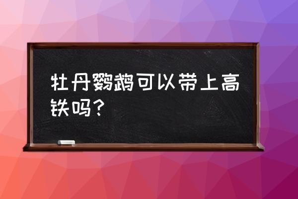 高铁带鹦鹉详细流程 牡丹鹦鹉可以带上高铁吗？