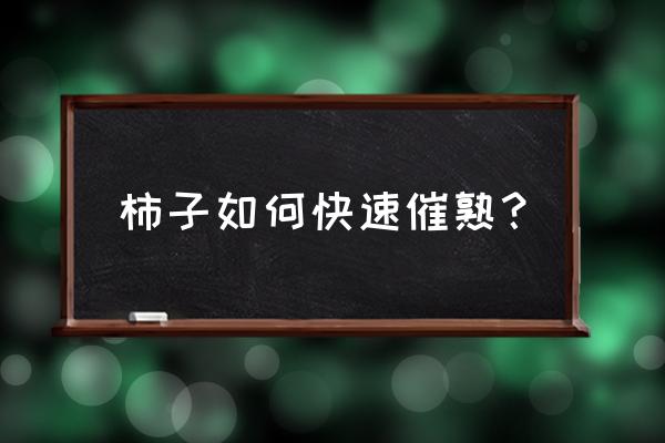 柿子用什么办法催熟 柿子如何快速催熟？