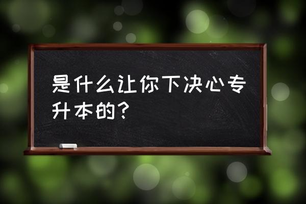 专升本个人申请理由 是什么让你下决心专升本的？