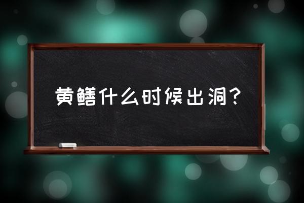 怎么区分黄鳝洞和蛇洞 黄鳝什么时候出洞？