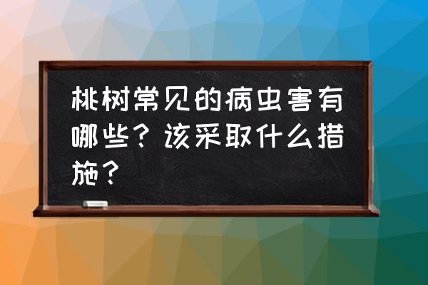 桃尤这个软件是干嘛的 桃树常见的病虫害有哪些？该采取什么措施？