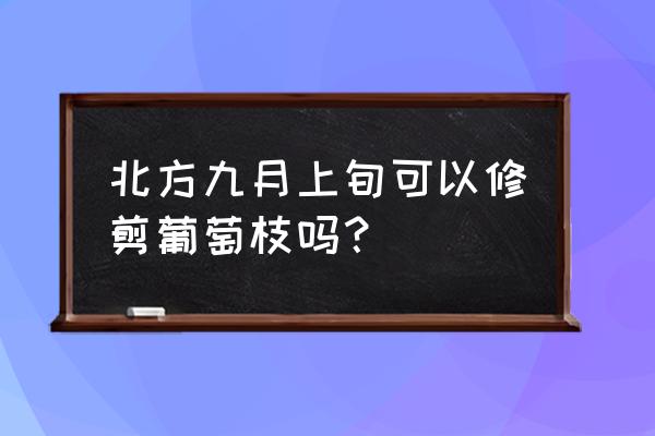 葡萄树每年都要修剪吗 北方九月上旬可以修剪葡萄枝吗？