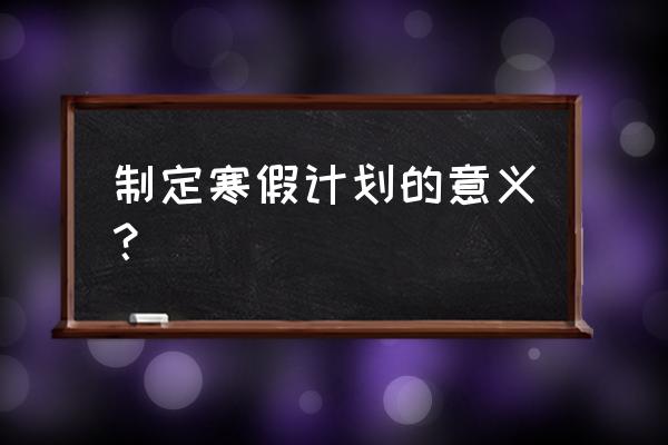 大型活动执行进度表 制定寒假计划的意义？