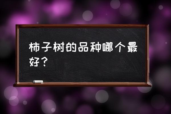 甜脆柿怎么吃最好 柿子树的品种哪个最好？