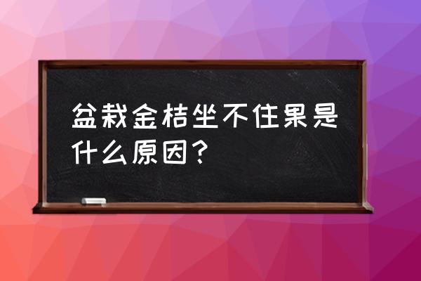 开心果的壳子剥不开怎么办 盆栽金桔坐不住果是什么原因？