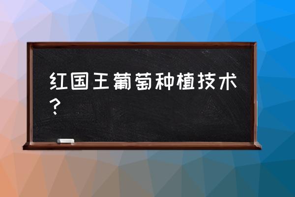 葡萄生长的14个生长阶段 红国王葡萄种植技术？