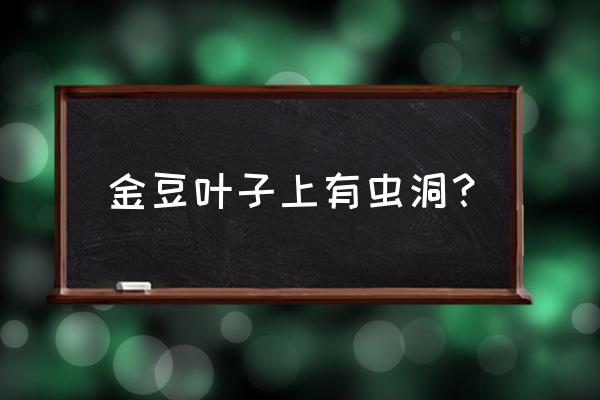 什么药能打大豆叶子上虫子 金豆叶子上有虫洞？