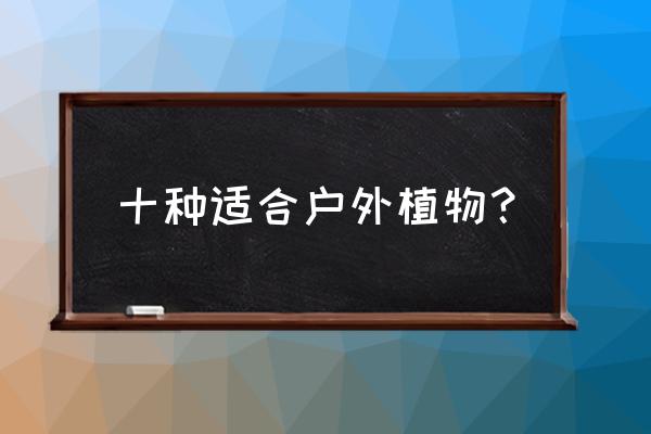 芝樱播种当年不开花 十种适合户外植物？