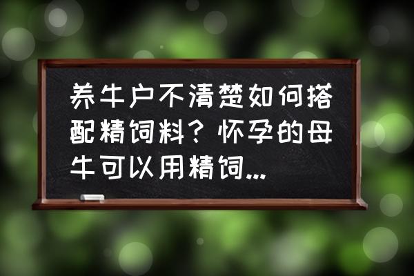 养牛专业户饲料配方 养牛户不清楚如何搭配精饲料？怀孕的母牛可以用精饲料喂养吗？