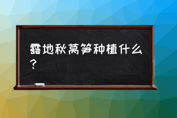 露地越冬莴苣种植时间和方法 露地秋莴笋种植什么？