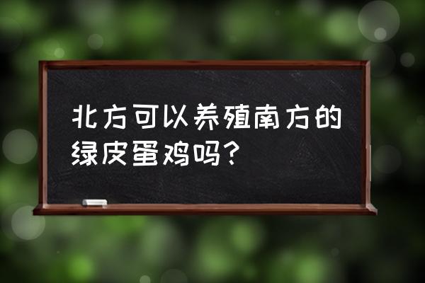 绿壳蛋鸡养殖技术和销路 北方可以养殖南方的绿皮蛋鸡吗？