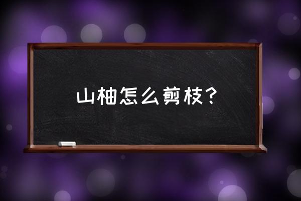 柚树什么时间剪枝好 山柚怎么剪枝？