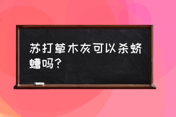 什么可以代替草木灰消毒 苏打草木灰可以杀蛴螬吗？